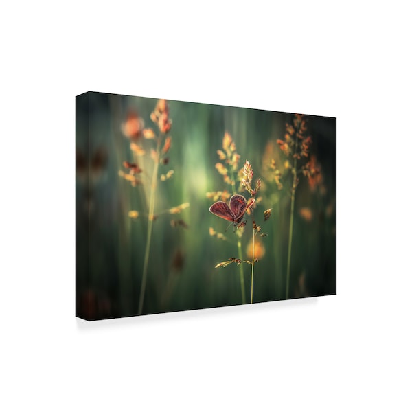 Florentin Vinogradof 'Last Light Orange Flowers' Canvas Art,16x24